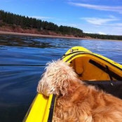 Susan MacWhit's photo