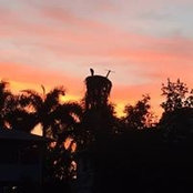 Lynne Houde's photo