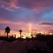 Bruce Dorrough's photo