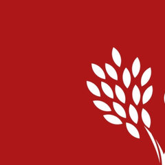 Branch Specialists