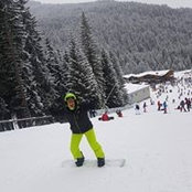 Mirko Arezina's photo