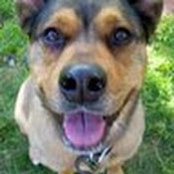 Annie Callan's photo