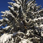 Patty Chambers's photo