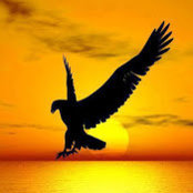 Photo de flying free