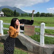 林郁馨's photo