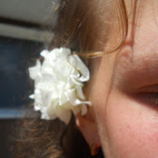 Anna Ns foto