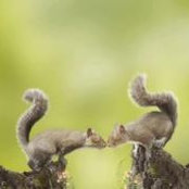 Sevgi Çevik's photo