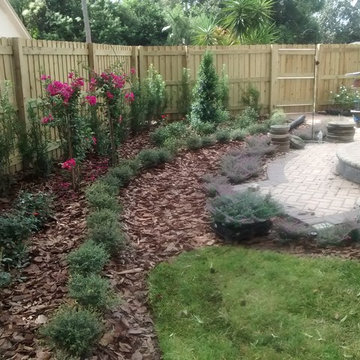 Carrollwood Versaille Roses & Hedges