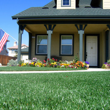 Residential Landscape