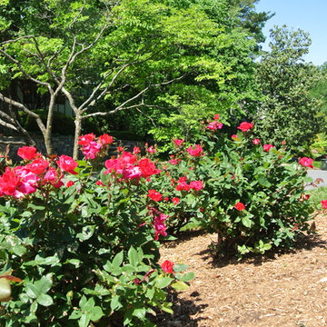 Flower Beds and Softscapes