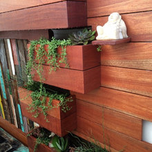 Landscape Ideas
