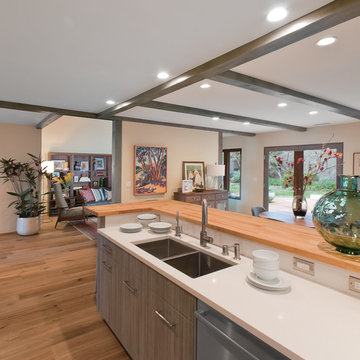 Del Mar Whole House Remodel