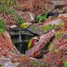 Water features - outside grounds