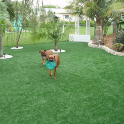 Pet Turf - Products