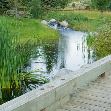 Transformative Water