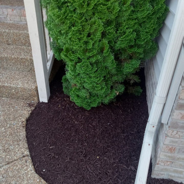 Our Work