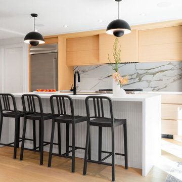 Modern Whole Home Renovation and Addition in Cedervale