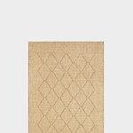 Durable Indoor-Outdoor Rugs