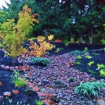 Before & After Landscape Makeover: Outdoor Entertainment Area!