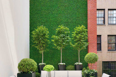 Outdoor Greenery via Green Walls and Topiaries