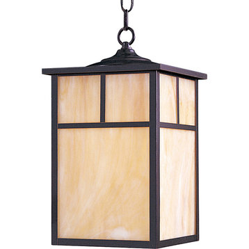 Coldwater 1-Light Outdoor Hanging Lantern, Burnished, Honey Glass