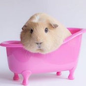 Katie Ho's photo