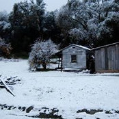 Foto von Bruce Armes