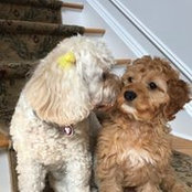 Cathy Pierorazio's photo