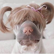 Debra Tate's photo