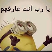 Arwa Khattab's photo