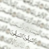 Foto von Sarah Ashour