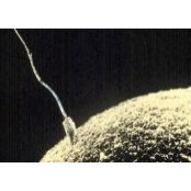 John Wroblewski's photo