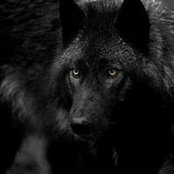 Beth Didick Walborn's photo