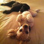 Matt Gill's photo