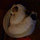 webuser_260913