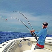 Pj Gonzalez's photo