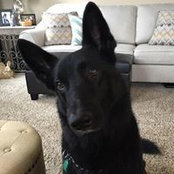 Jill Youngman's photo