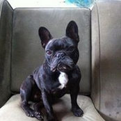 Glen Rollason's photo