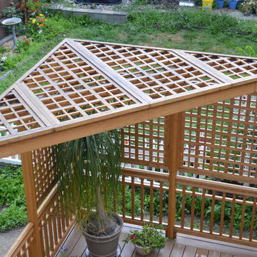 Deck rail and privacy screens