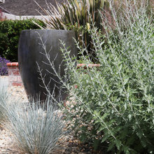 Outdoor softscape and focal point ideas