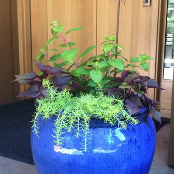 Spring Containers