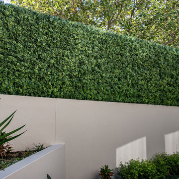 Privacy hedge for young family in Sydney's Northern Beaches