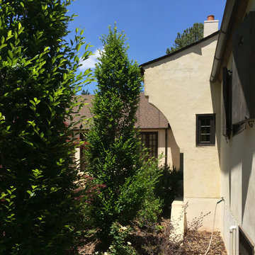 English Modern