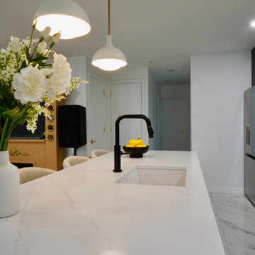 Brooklyn Luxury Kitchen Renovation
