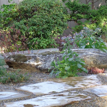 Drought Tolerant Low Maintenance Landscapes