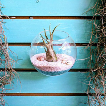 Succulent Store Toronto Photos