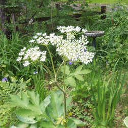 Garden Evacuation - Products