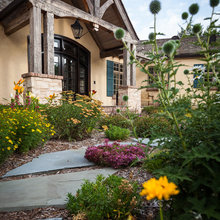 Landscape Ideas