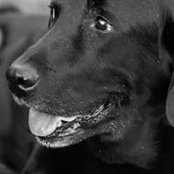 Brooke Rawlings's photo
