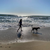 Sara Djafari's photo
